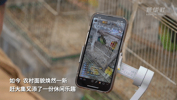 年味里的中国|“赶”出“热闹味”