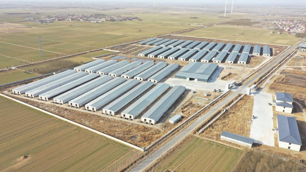 新华全媒+丨“羊倌”致富记