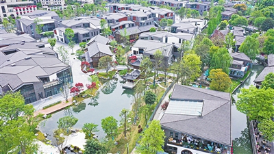 Ѱ����İ�� �������