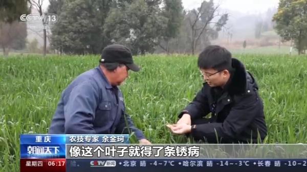 春耕正当时 多地按下备耕“启动键”