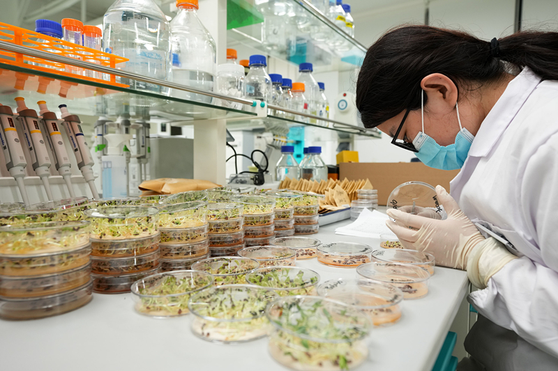 2022��4��11�գ���������������Ƽ��ǵ�����������ʵ���ң�������Ա���ڹ۲�����������