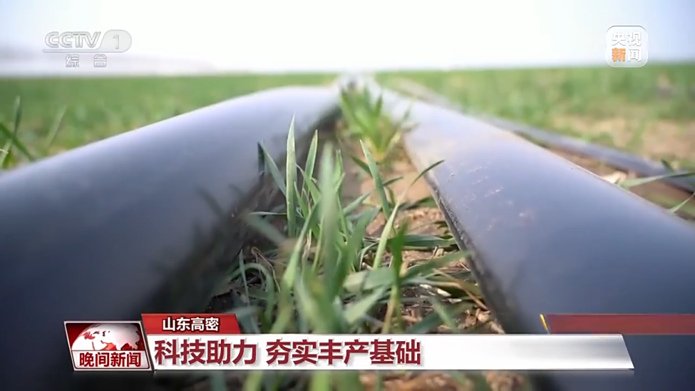 建设高标准农田、铺设智能滴灌系统……各地春耕备耕有序推进