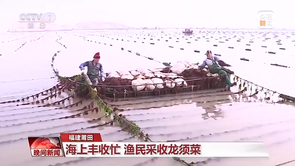 建设高标准农田、铺设智能滴灌系统……各地春耕备耕有序推进