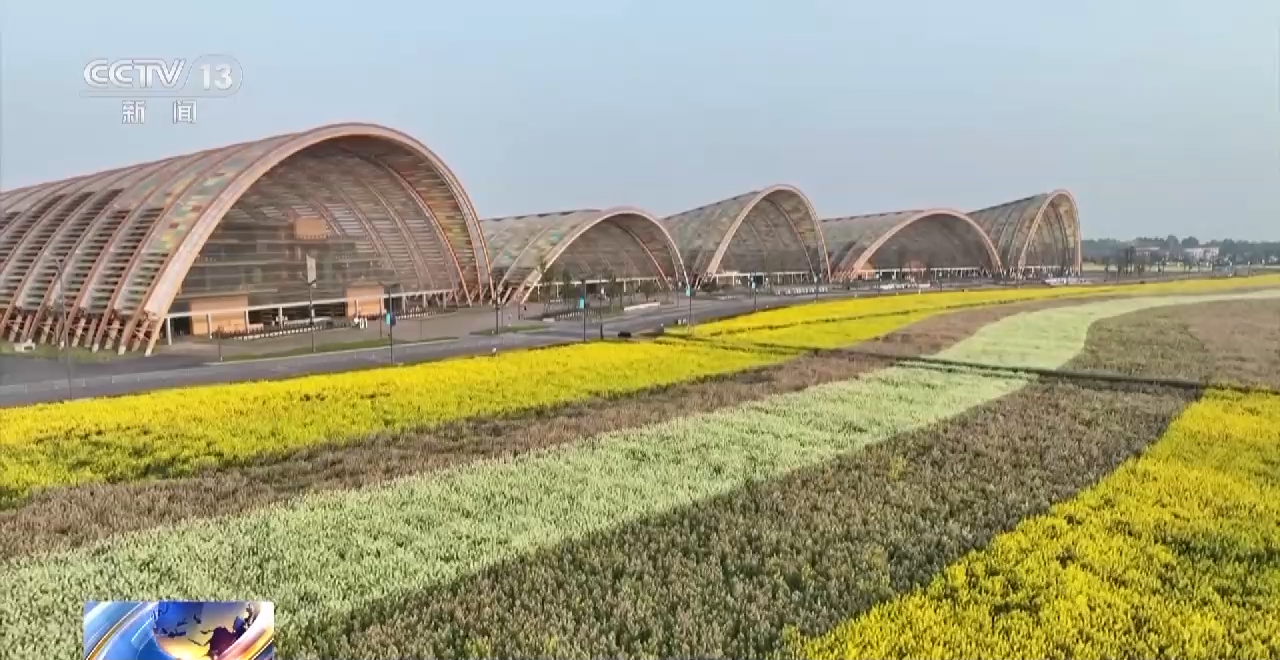 一线调研丨四川:小油菜串起大产业