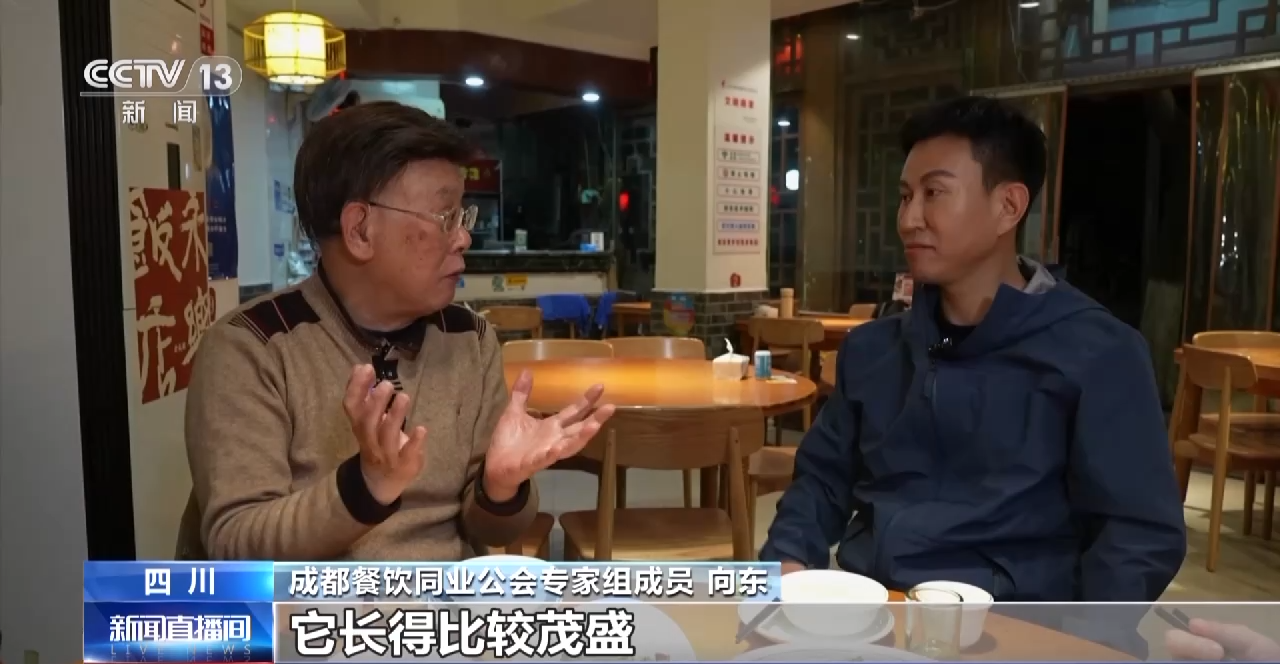 一线调研丨四川:小油菜串起大产业