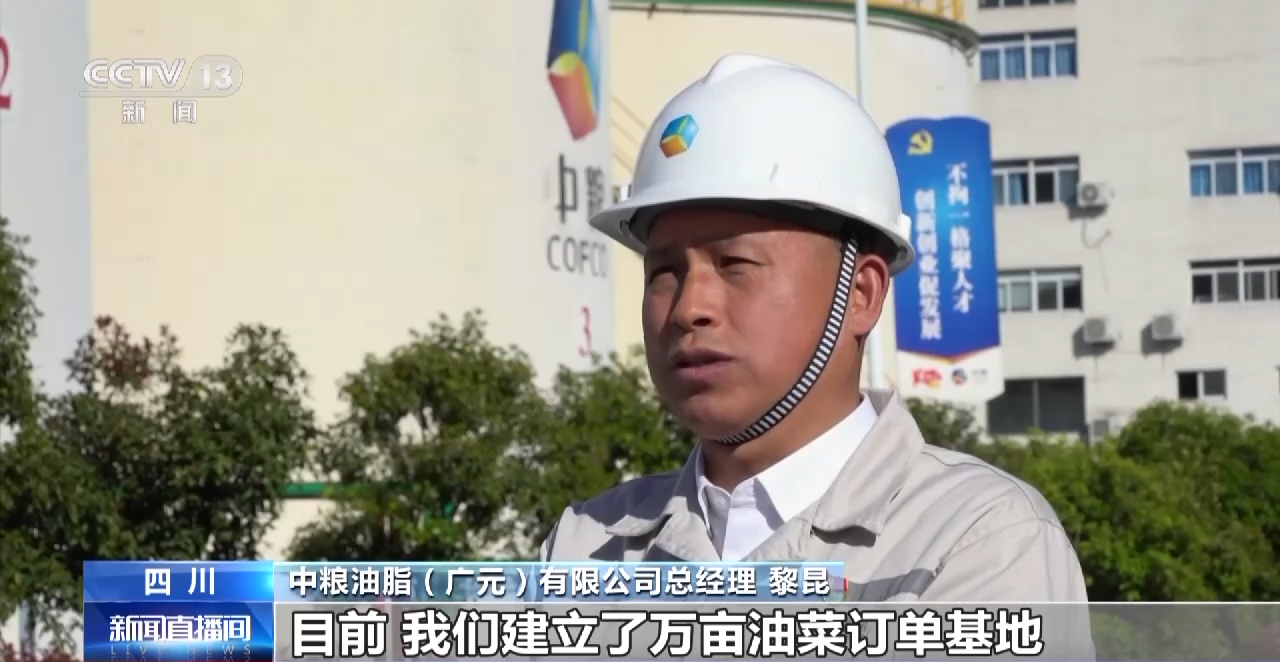 一线调研丨四川:小油菜串起大产业