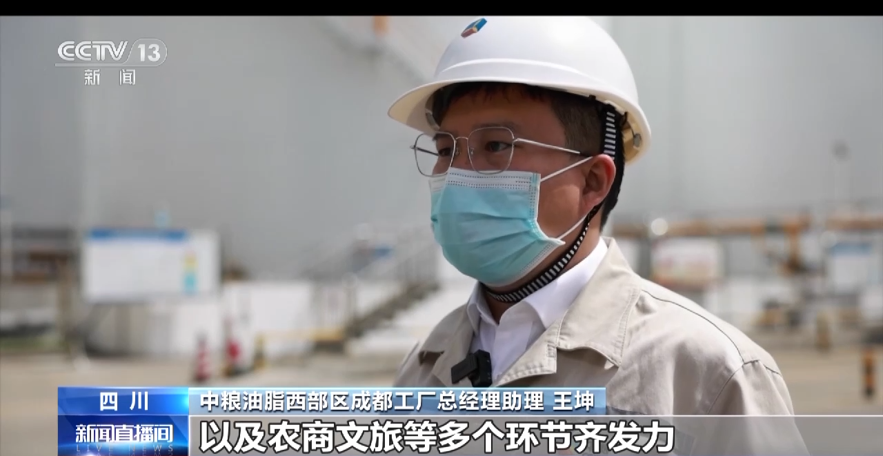 一线调研丨四川:小油菜串起大产业