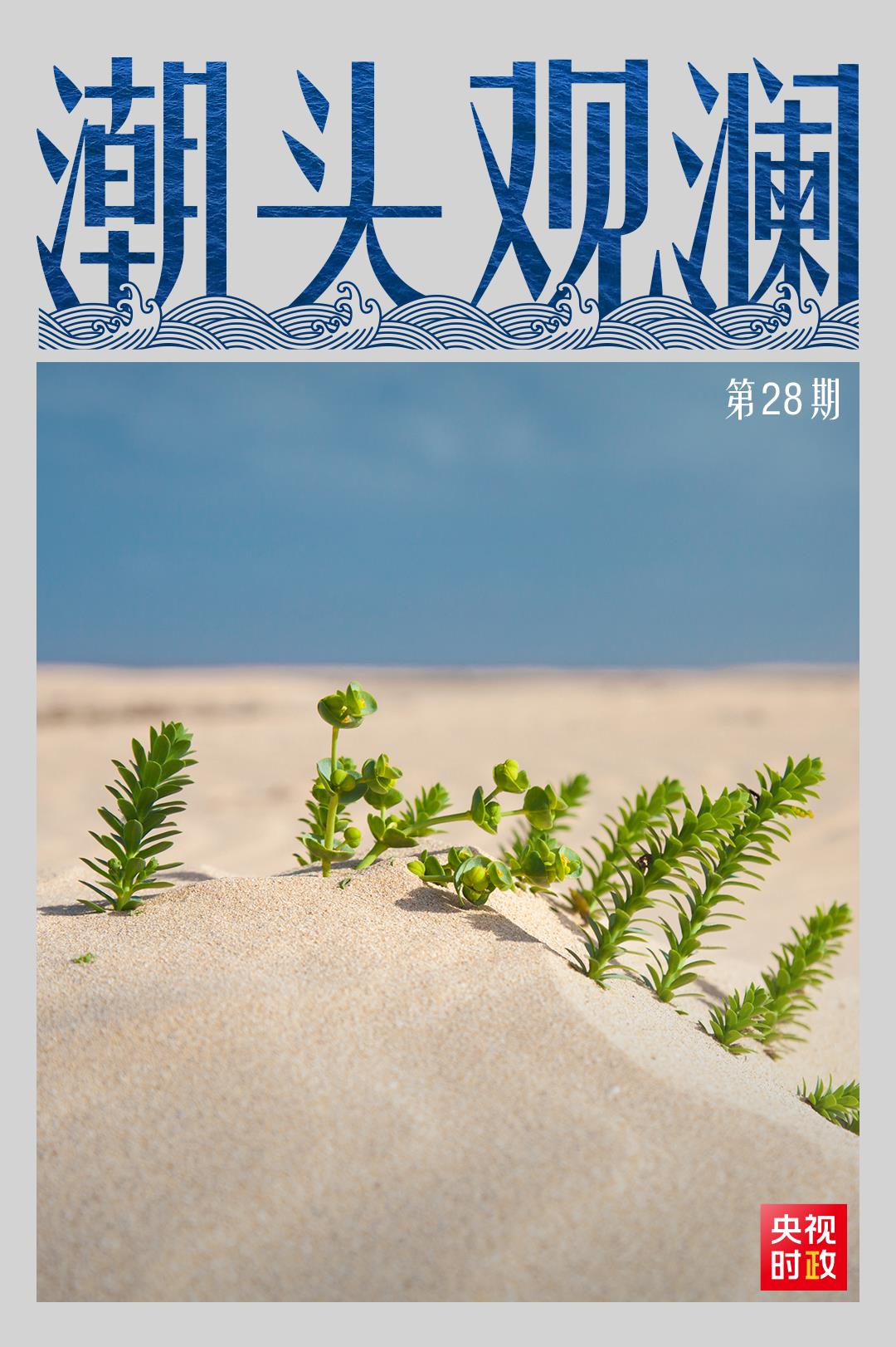 ��ͷ����ح������������ ��̬����