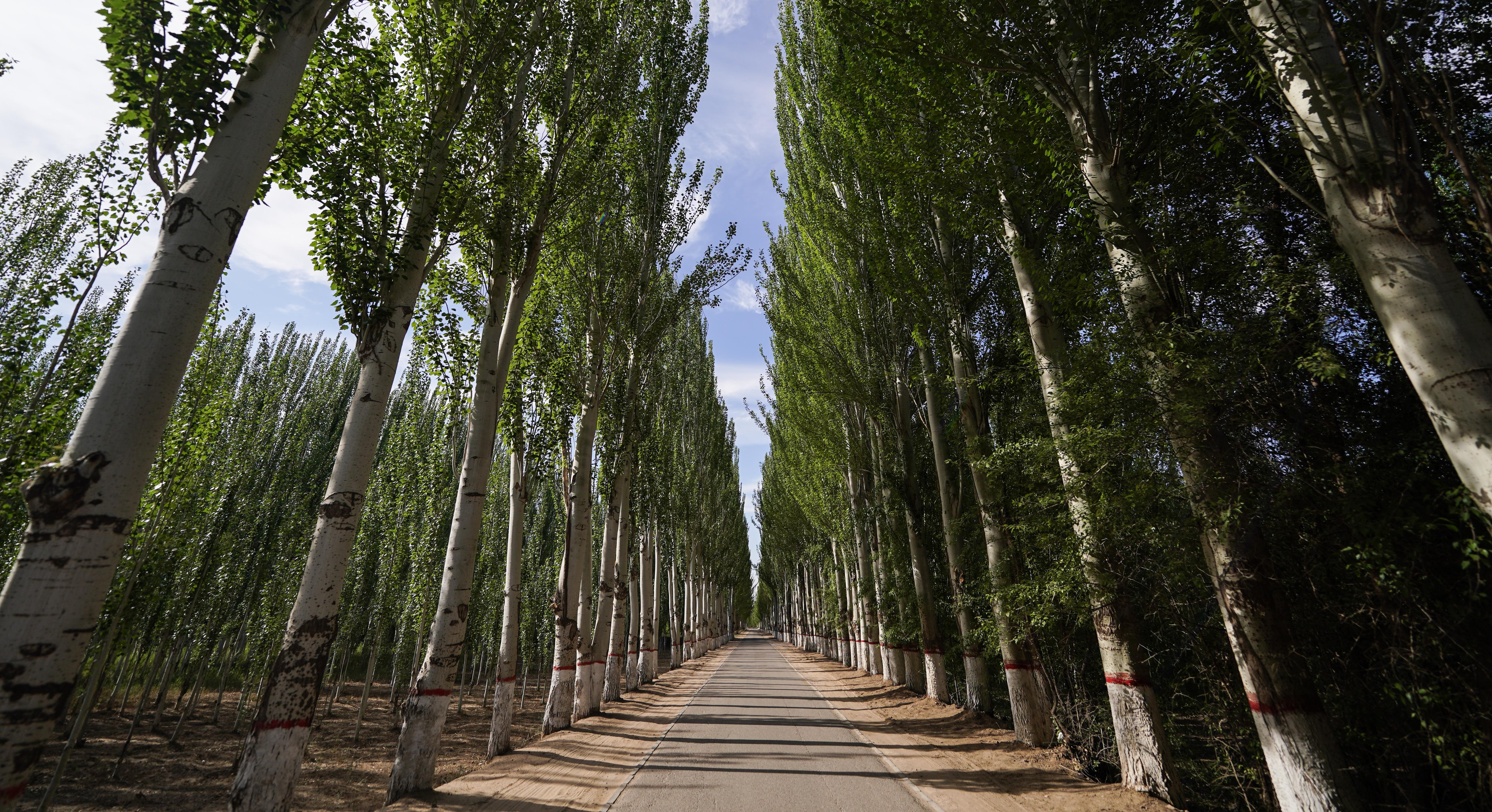 ��ͷ����ح������������ ��̬����