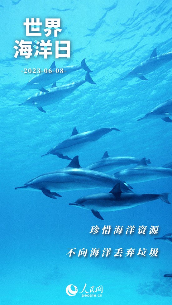 ���纣���� | �������� ��������Щʲô��