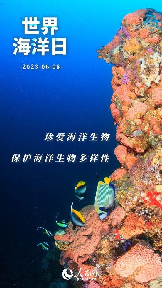 ���纣���� | �������� ��������Щʲô��