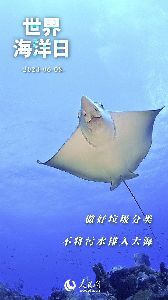 ���纣���� | �������� ��������Щʲô��