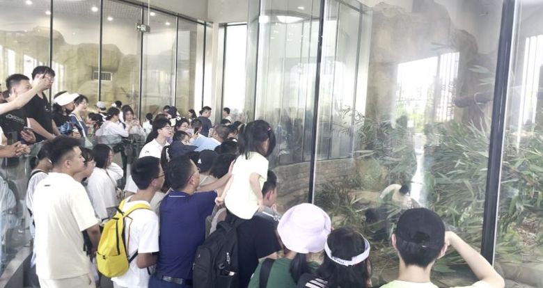 �������� ˣ�ɶ���������֮�� ��Ļ����