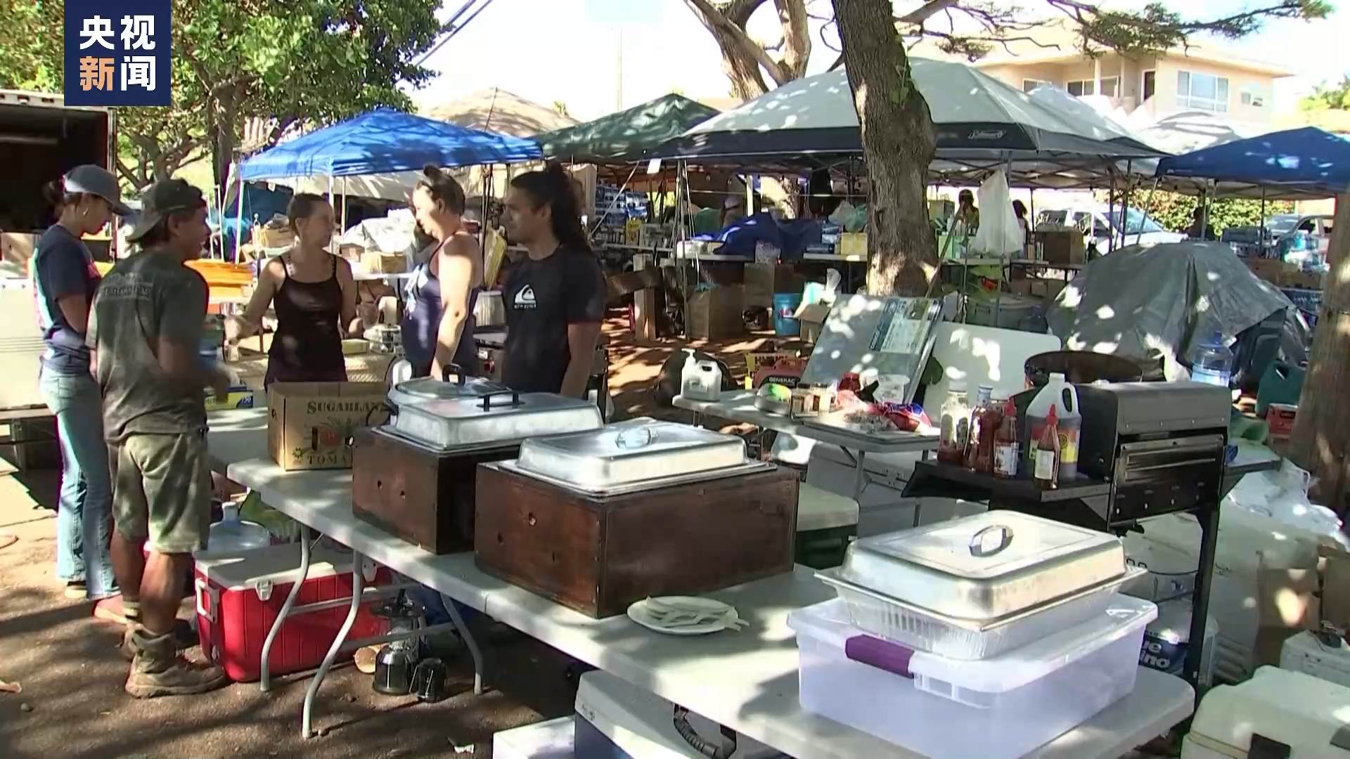 ������ë�������֮�� ��ý���������ɵĻҽ��� ��ŭ��������