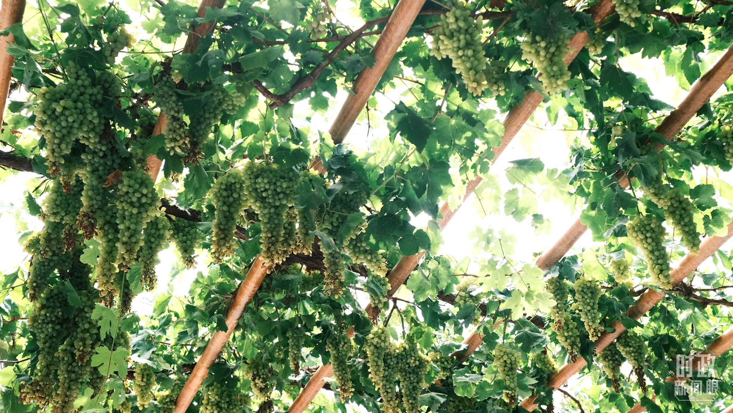 ʱ��������ح����³ľ��ר����ȡ�㱨��ϰ��ƽ���½�����������Щ��Ҫ����