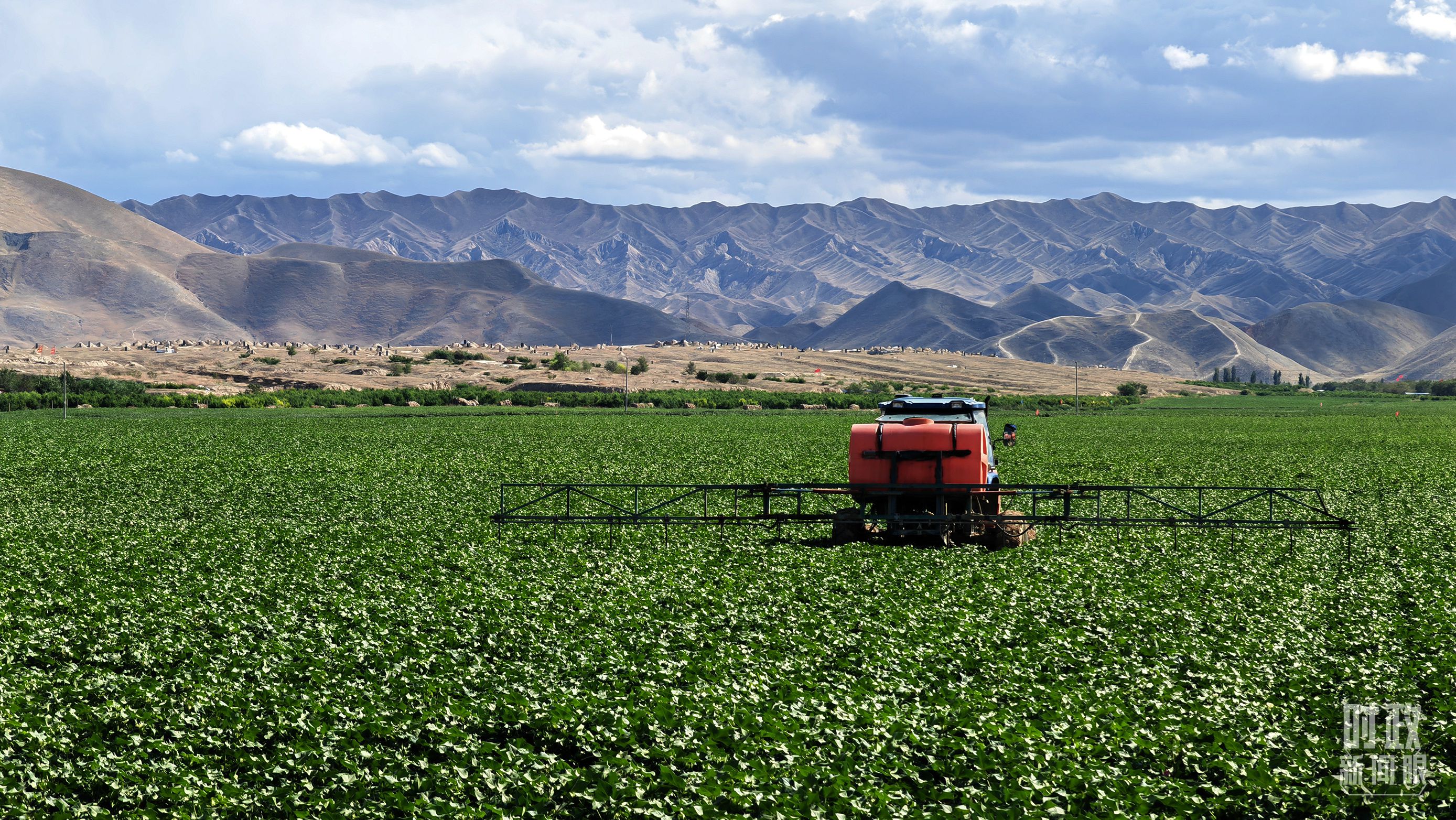 ʱ��������ح����³ľ��ר����ȡ�㱨��ϰ��ƽ���½�����������Щ��Ҫ����