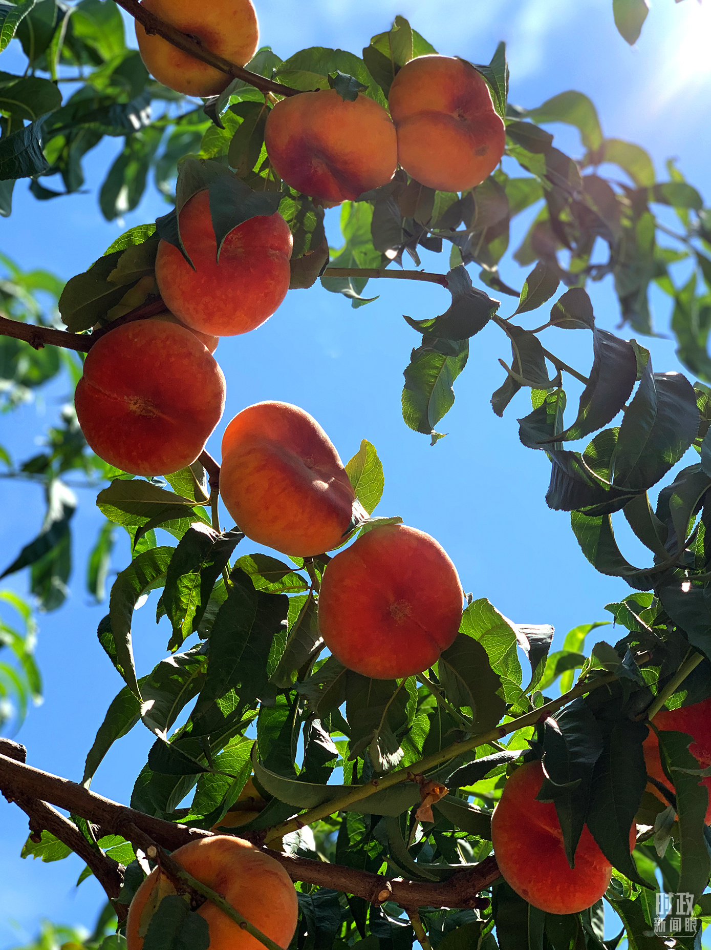 ʱ��������ح����³ľ��ר����ȡ�㱨��ϰ��ƽ���½�����������Щ��Ҫ����