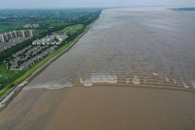 8月4日拍摄的钱塘江大潮“一线潮”(无人机照片)。新华社记者 黄宗治 摄
