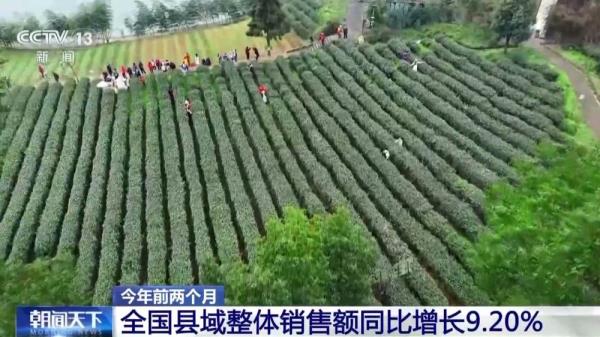 新业态新模式新技术助力!一组数据看农村消费不断升温