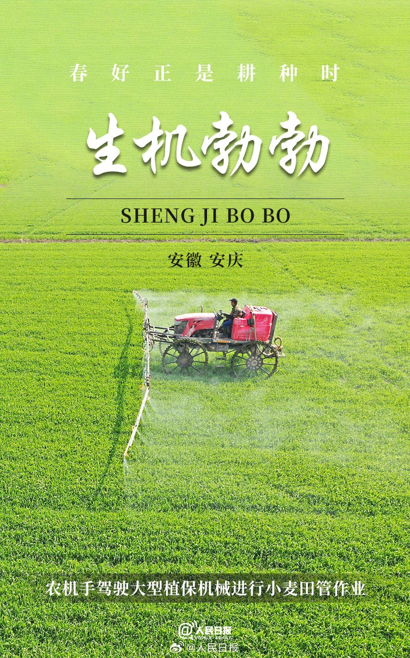 ������Ȼ���ÿα�����򿪴�������