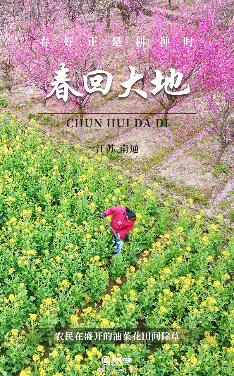 ������Ȼ���ÿα�����򿪴�������