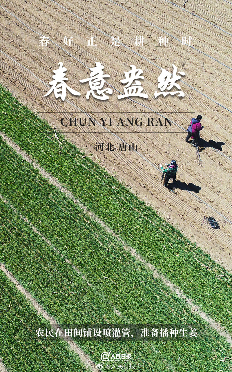 ������Ȼ���ÿα�����򿪴�������