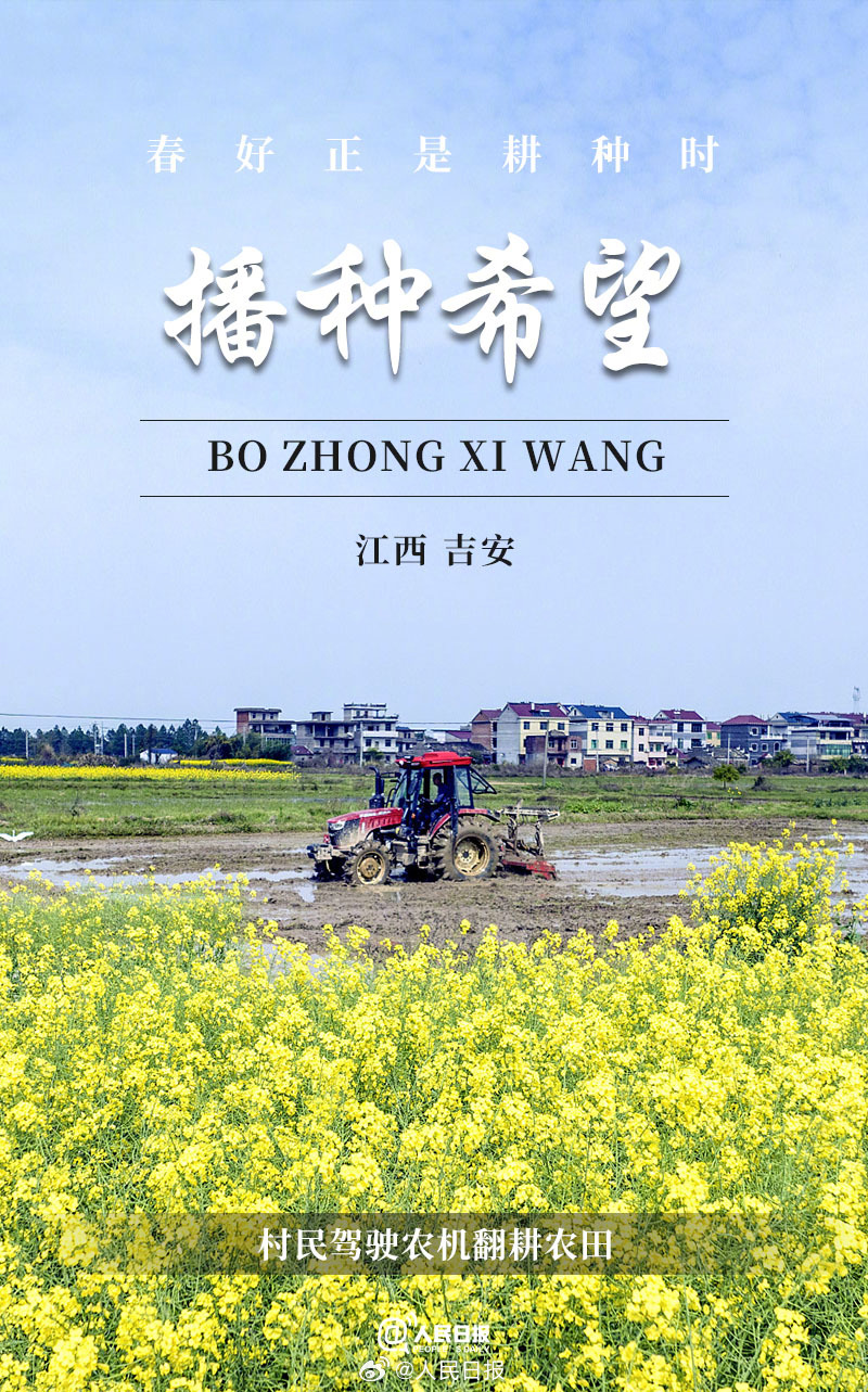 ������Ȼ���ÿα�����򿪴�������