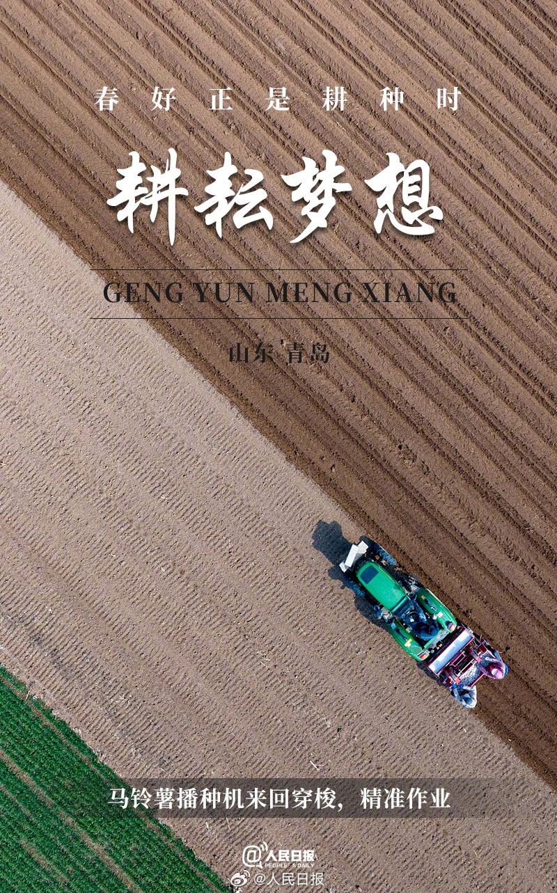 ������Ȼ���ÿα�����򿪴�������