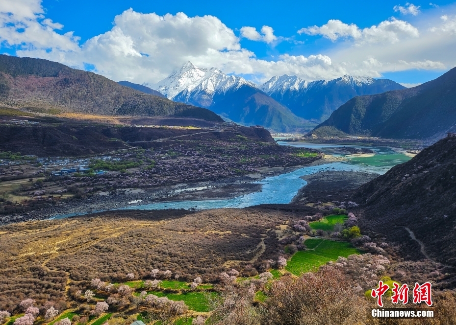 ������֥�����Ȱ��߽����һ�ʢ��