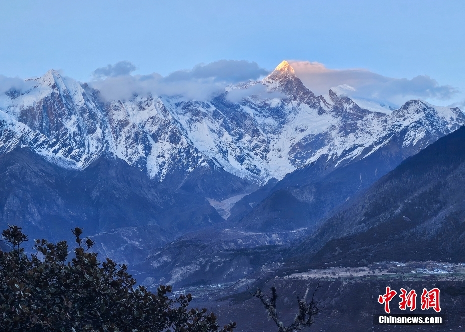 ������֥�����Ȱ��߽����һ�ʢ��