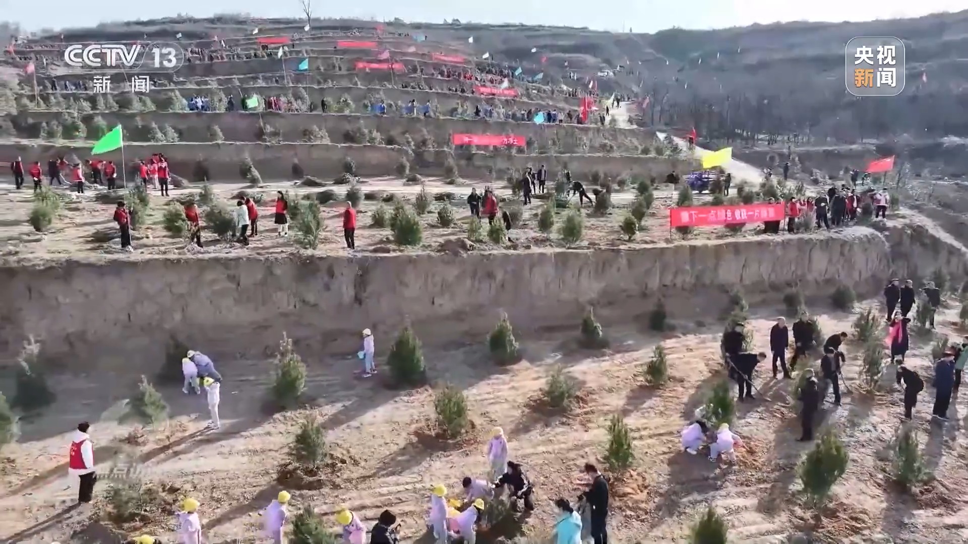 焦点访谈丨全民植树增绿 共建美丽中国