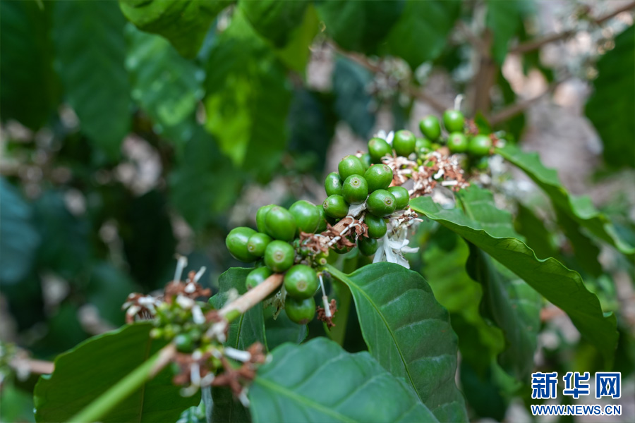 《霍格沃茨之遺》新場景掀示：哥特教堂宏偉奧秘