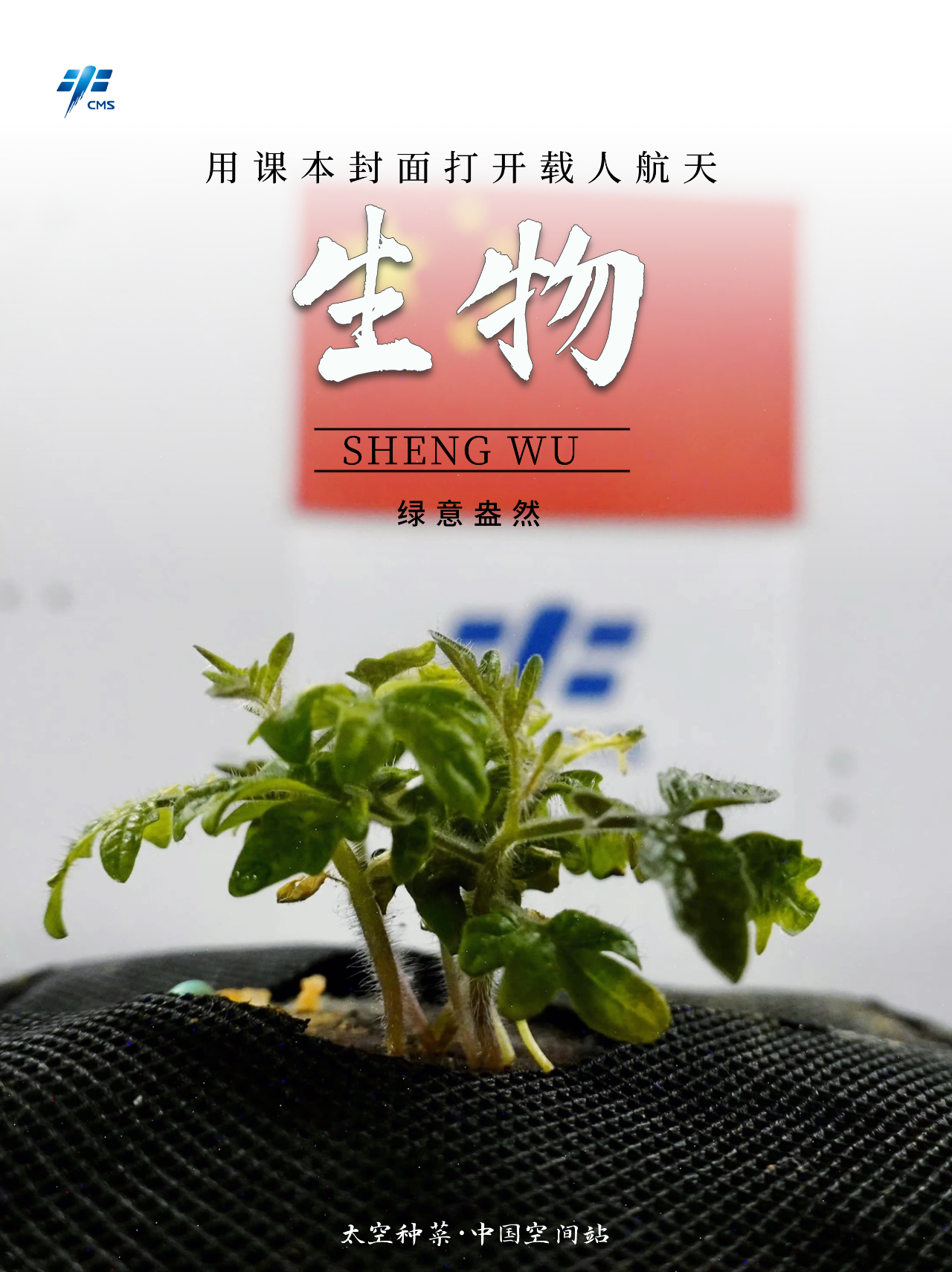 �ع˾���˲�䣡�á��α����桱���й����˺����