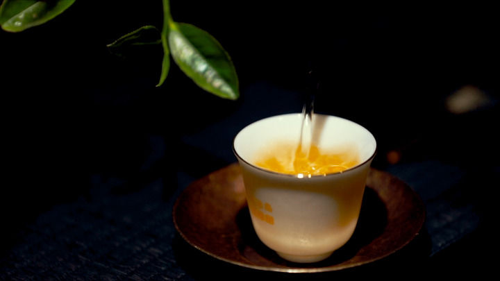 ��˵ | ��Ҷ�Ĺ���