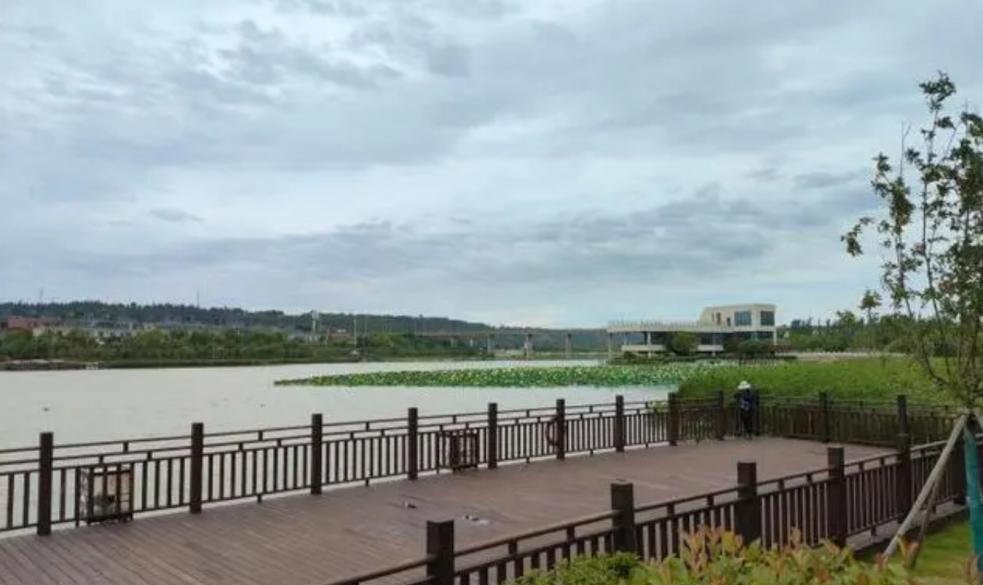 【高质量发展调研行】节水增效添新绿 循环利用惠民生