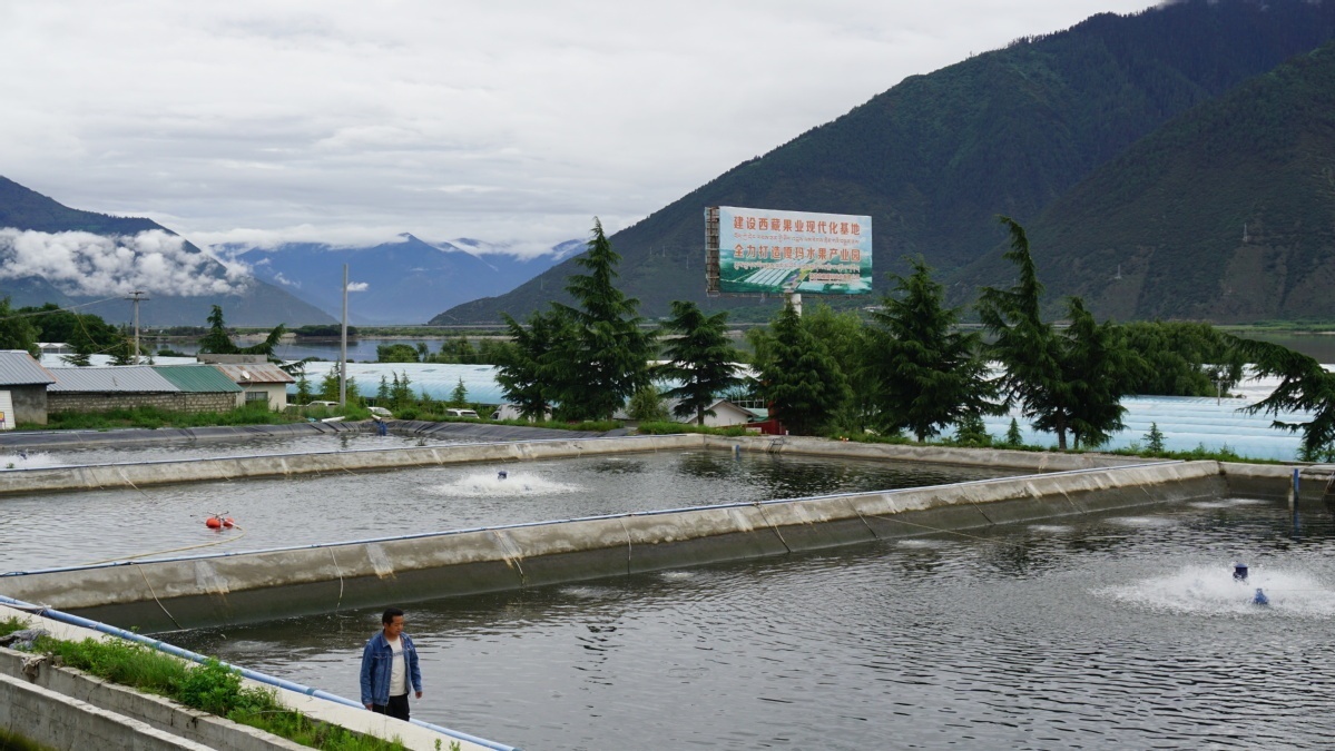 ��ԭ��Ϻ���ν���Ѱ�����ռ� �麣Ԯ�����������ˮ����ֳ��ҵ���հ�