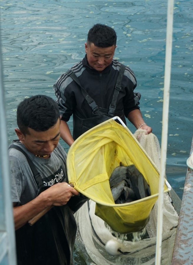 ��ԭ��Ϻ���ν���Ѱ�����ռ� �麣Ԯ�����������ˮ����ֳ��ҵ���հ�