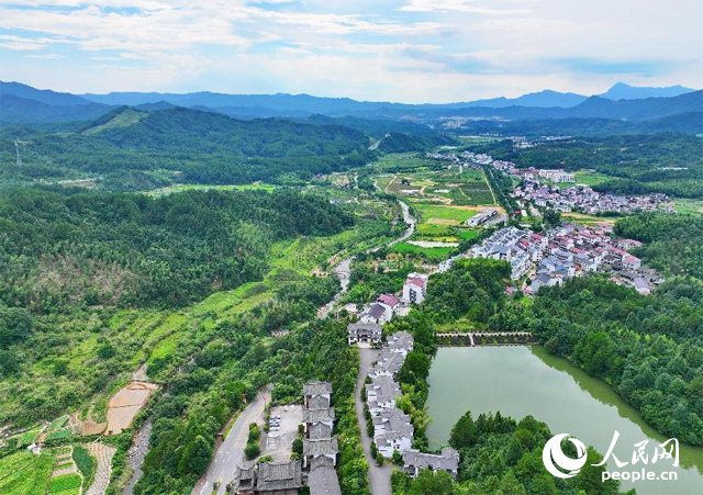 资溪县森林资源丰富,森林覆盖率达87.7%,有林地资源168万亩。人民网 朱海鹏摄