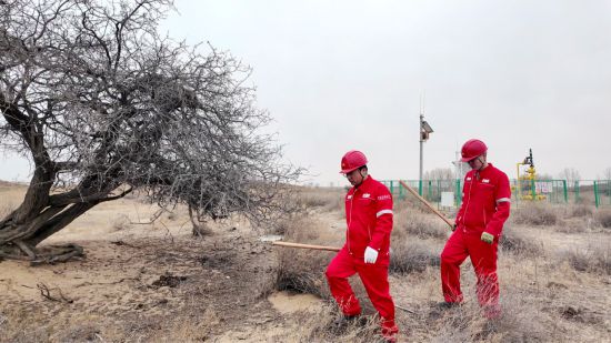 �ڳ������������������6����������Ա����أ�����������Ѳ�����ߵļ�Ъά���������ڸ����� �Ż�/��