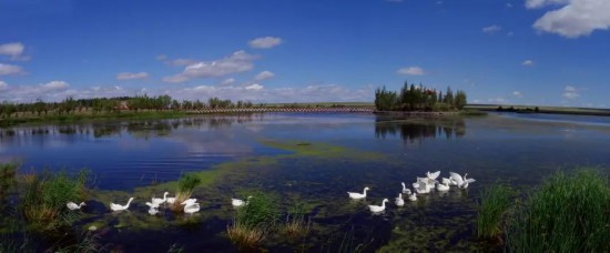 �ڻ������ﰢ���ƶ���ʪ�ر����ؽ���ͣЪ��ֳ����죬���ʱ�ɴ�30��ֻ Ī����/��