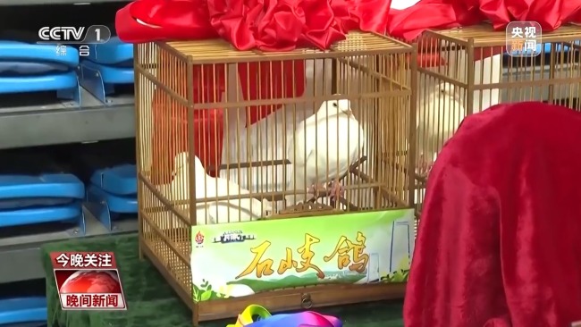 ����Բζ�������óԺÿ��ֺ���������ػ�ʽ������