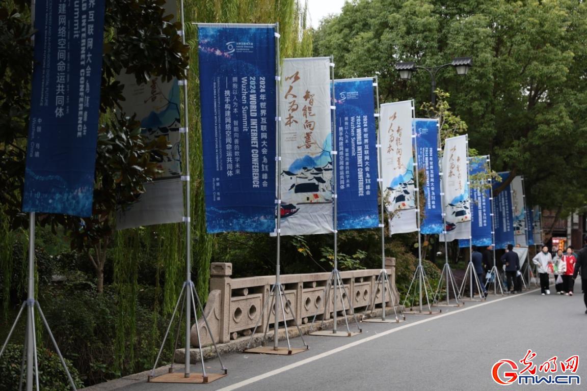 ������Я�ֳ����������������õġ�����δ������������2024�����绥�������������Ĺ۲�