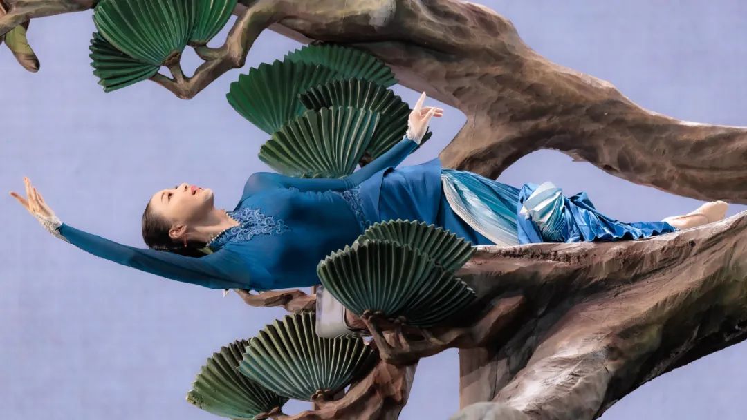 ���赸��װ���뻭��������֮������޾�����