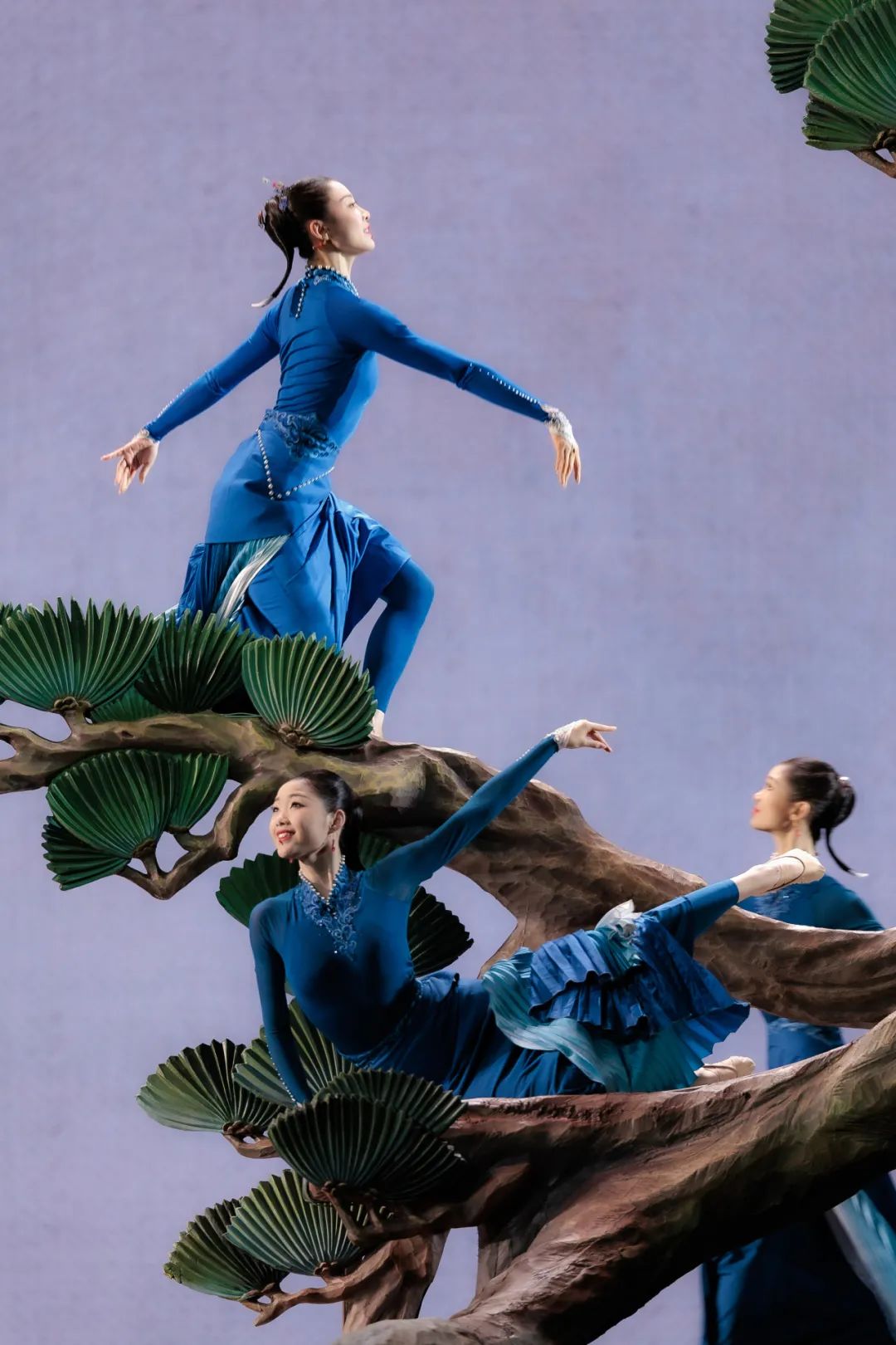 ���赸��װ���뻭��������֮������޾�����