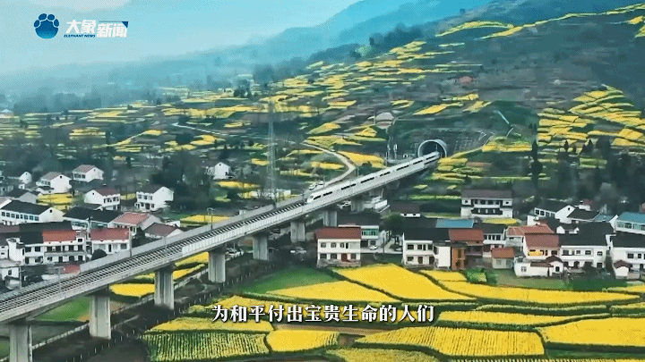 �ҹ����� | ����ɽ��������