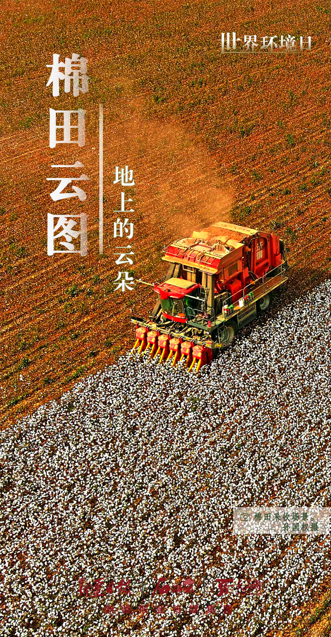 ���绷����ح���½��ġ���ɫ�����