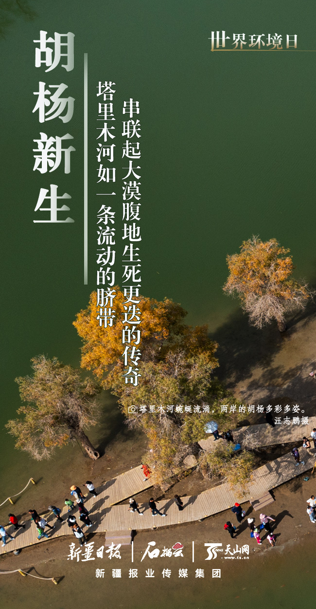 ���绷����ح���½��ġ���ɫ�����