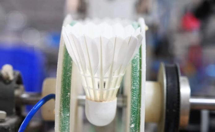 【理响中国·春江水暖鸭先知】一个羽毛球“打”出大产业