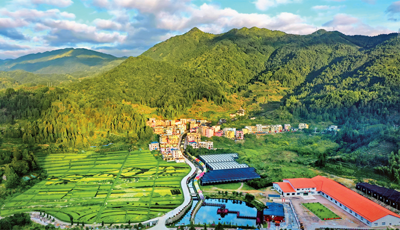 ��ï��ᡢ����ˮ��ġ��߲ʡ�����塣 ������ί��������ͼ ��2023���24�ڡ����ǡ���־������