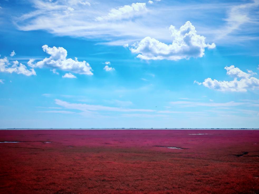 ����ɽ�������������й�ح��̲��έ Ÿ����ɣ��ػ����ߵġ���Ȼ�������